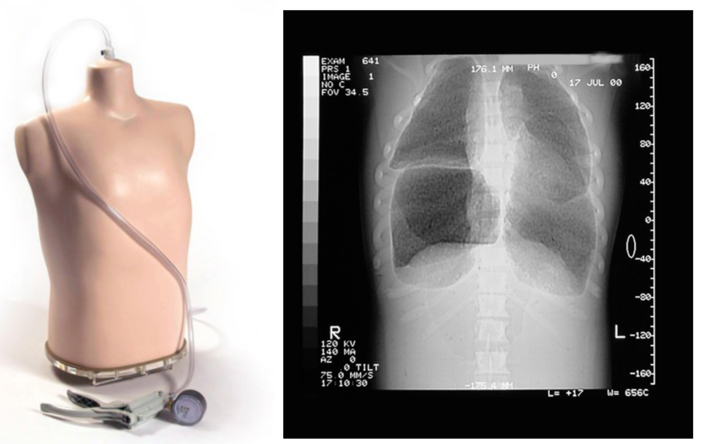 phantom torso